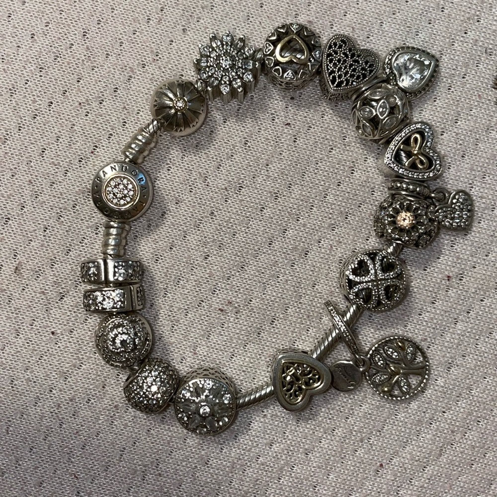 Pandora Charms for sale